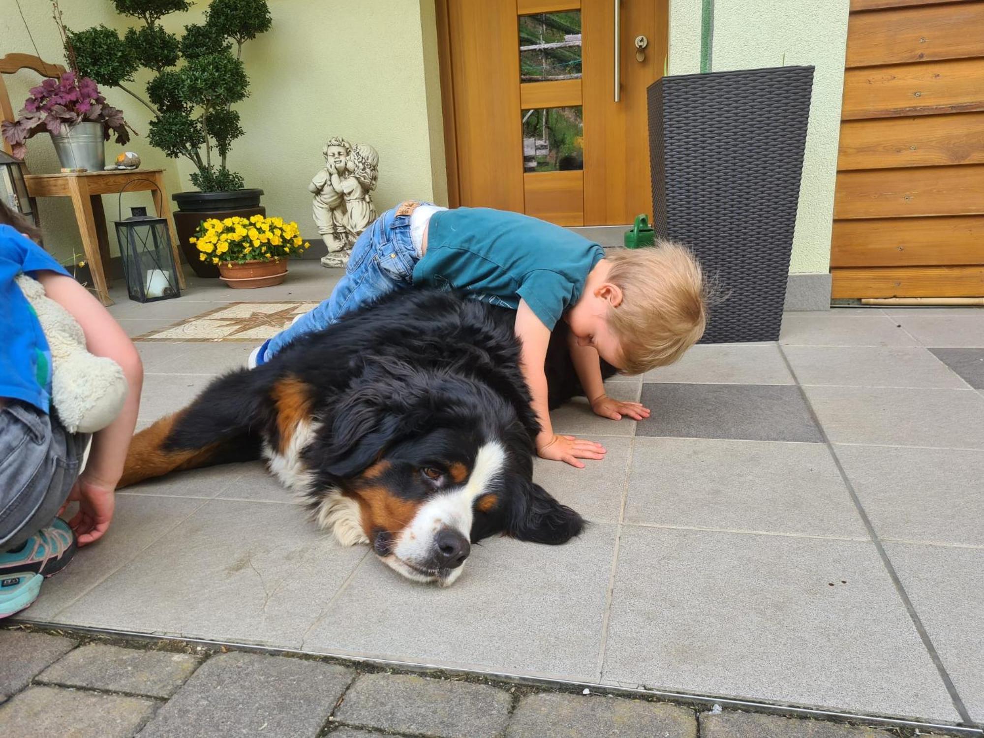 Kerschbamerhof Im Sueden Suedtirols 科尔塔恰 外观 照片
